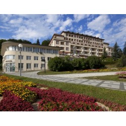 Luhacovice Hotel Palace****